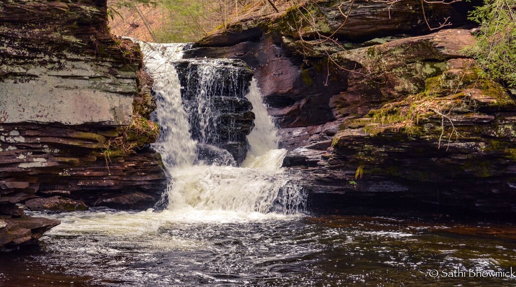 Ricketts Glen harbors Glens Natural Area, a National Natural Landmark. Take the Falls Trail and explore the Glens, which boasts a series of wild, free-flowing waterfalls, each cascading through rock-strewn clefts in this ancient hillside. The 94-foot Ganoga Falls is the highest of 22 named waterfalls. Old growth timber and diverse wildlife add to the scenic area. Ricketts Glen State Park is one of the most scenic areas in Pennsylvania. #rickettsglen #rickettsglenstatepark #pennsylvania #summertravels #summer #summerhikes #waterfall #waterfalls #igwaterfalls #nature #naturegram #flowingwater #igmyshot #ig_newtag #ignature #hiking #hikingadventures #nikonphotography ##nikontop #topshots #nikonphoto #nikonphotographers #picoftheday #travelgirl #travelblog #travelbloggers #TakeAhike #AquaTrove