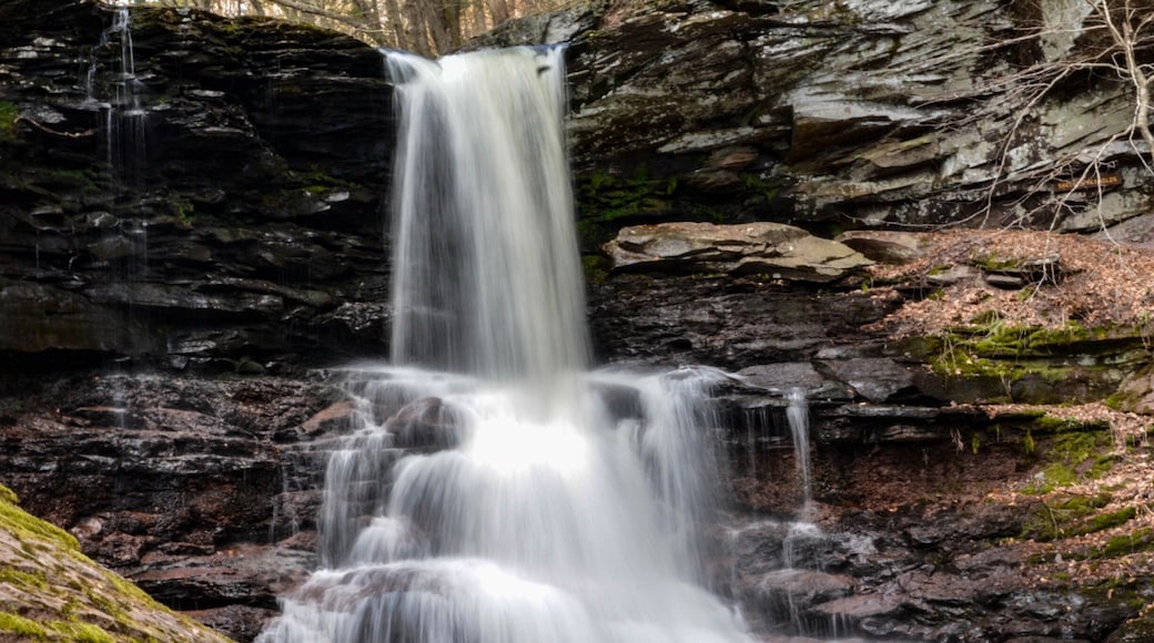 Ricketts Glen harbors Glens Natural Area, a National Natural Landmark. Take the Falls Trail and explore the Glens, which boasts a series of wild, free-flowing waterfalls, each cascading through rock-strewn clefts in this ancient hillside. The 94-foot Ganoga Falls is the highest of 22 named waterfalls. Old growth timber and diverse wildlife add to the scenic area. Ricketts Glen State Park is one of the most scenic areas in Pennsylvania. #rickettsglen #rickettsglenstatepark #pennsylvania #summertravels #summer #summerhikes #waterfall #waterfalls #igwaterfalls #nature #naturegram #flowingwater #igmyshot #ig_newtag #ignature #hiking #hikingadventures #nikonphotography ##nikontop #topshots #nikonphoto #nikonphotographers #picoftheday #travelgirl #travelblog #travelbloggers #TakeAhike