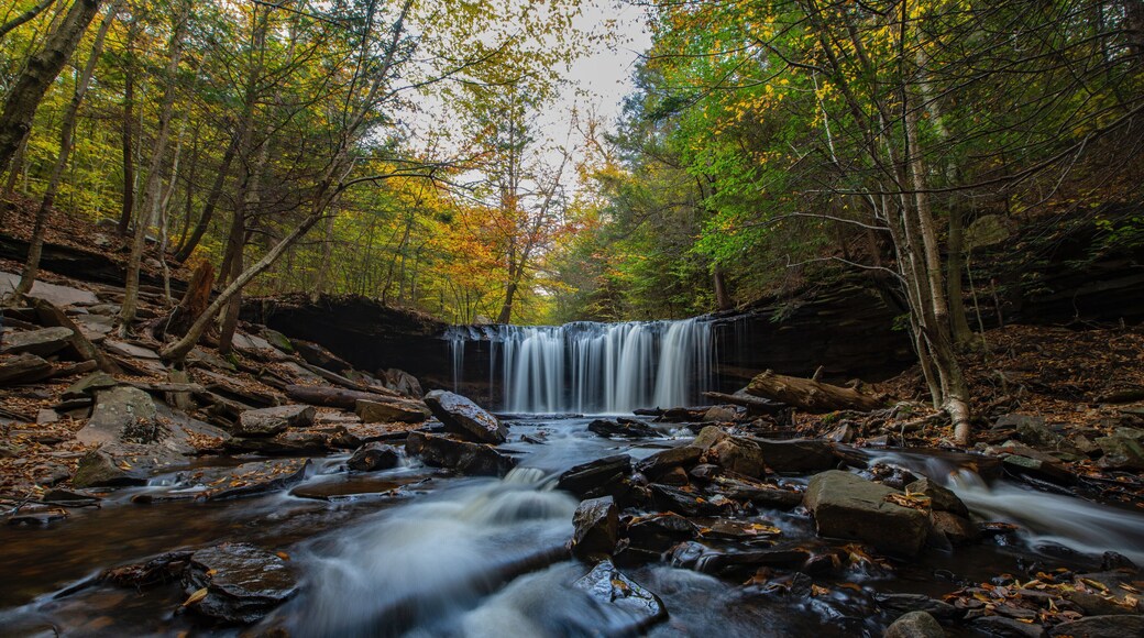 This is just one of the many falls that you will see at Ricketts glen! We arrived and started our hike before sunrise to beat some of the crowds but it’s only a matter of time before this place gets packed and for good reason. This place really is a nice gem tucked away with some awesome waterfalls. It is a bit slippery in places so it’s a good idea to wear some decent footwear. Hope you enjoy and safe travels!