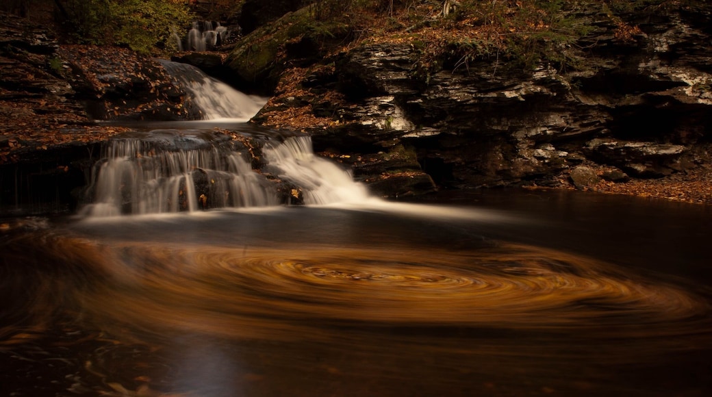Caught a whirlpool on a recent hike