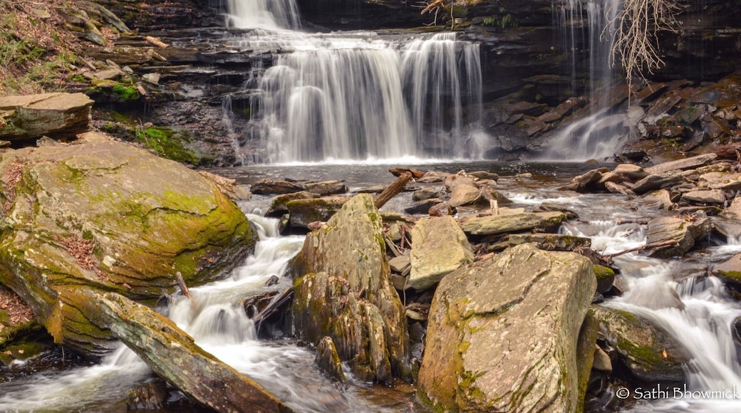 Ricketts Glen harbors Glens Natural Area, a National Natural Landmark. Take the Falls Trail and explore the Glens, which boasts a series of wild, free-flowing waterfalls, each cascading through rock-strewn clefts in this ancient hillside. The 94-foot Ganoga Falls is the highest of 22 named waterfalls. Old growth timber and diverse wildlife add to the scenic area. Ricketts Glen State Park is one of the most scenic areas in Pennsylvania. #rickettsglen #rickettsglenstatepark #pennsylvania #summertravels #summer #summerhikes #waterfall #waterfalls #igwaterfalls #nature #naturegram #flowingwater #igmyshot #ig_newtag #ignature #hiking #hikingadventures #nikonphotography ##nikontop #topshots #nikonphoto #nikonphotographers #picoftheday #travelgirl #travelblog #travelbloggers #TakeAhike #AquaTrove