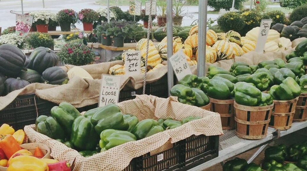 The one benefit to my parents living in rural Pennsylvania is that there is a never-ending selection of fresh produce right down the road. This farm market, on the corner of two busy roads, is my favorite. They have a tiny room of decorations for your home which I like to view but my favorite part has to be the tables and tables of flowers, fruits, and vegetables. The air is rich with a sweet, delicious scent. Your mouth will water -- that's how fresh everything is! It's also really cheap.
Seriously, the best fruits and veggies I've ever had for snacking and cooking has come from this place. Every time I visit my parents I make it a point to visit there and take armfuls of fruits and veggies back home with me.