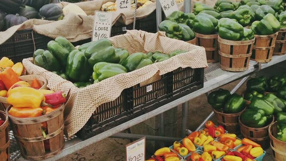 A market with various vegetables like bell peppers, squash, and pumpkins on display.