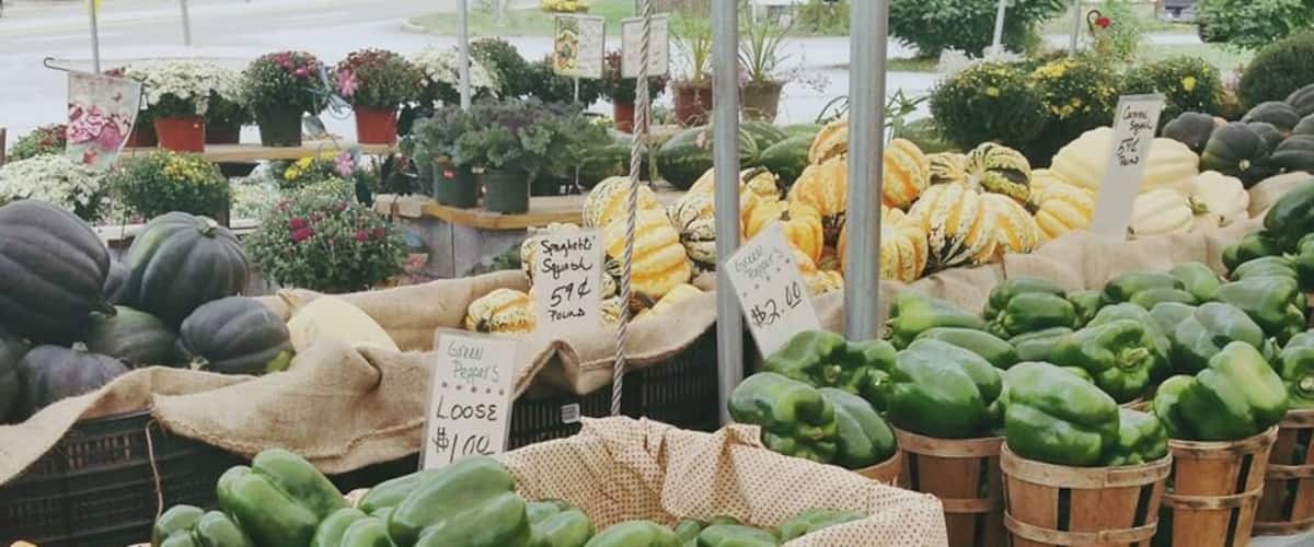 A market with various vegetables like bell peppers, squash, and pumpkins on display.
