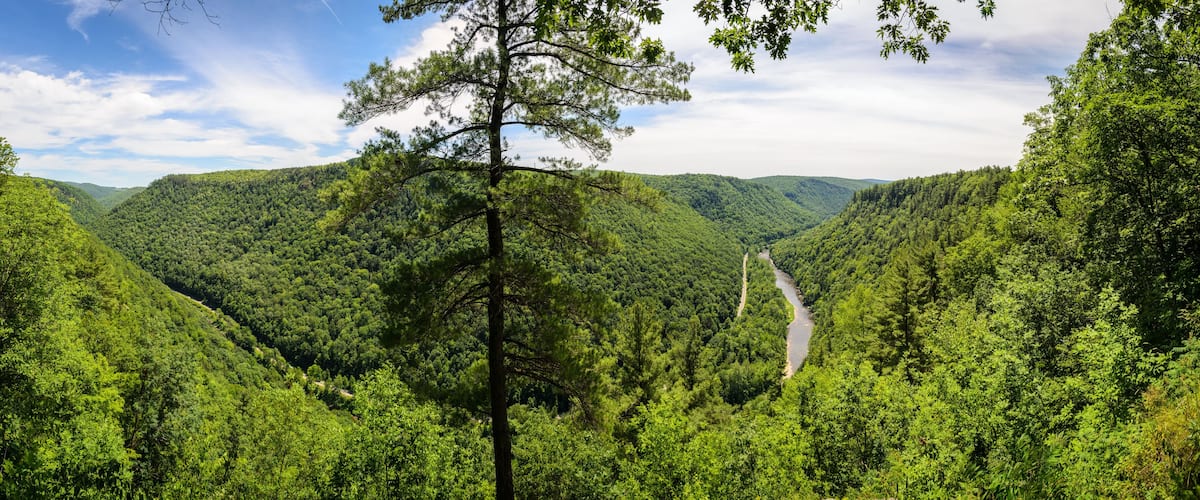 Pine Creek Gorge