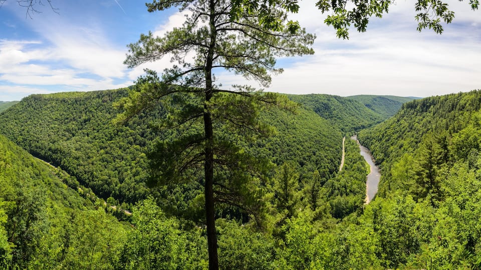 A lush valley with dense green forests and a winding river.