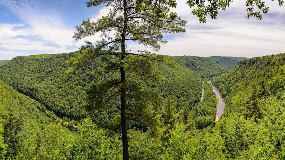 Pine Creek Gorge