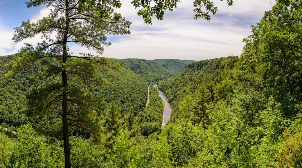 Pine Creek Gorge