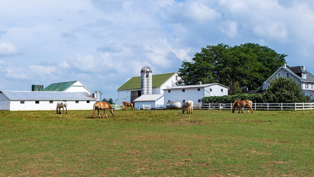 farm house with field and silo