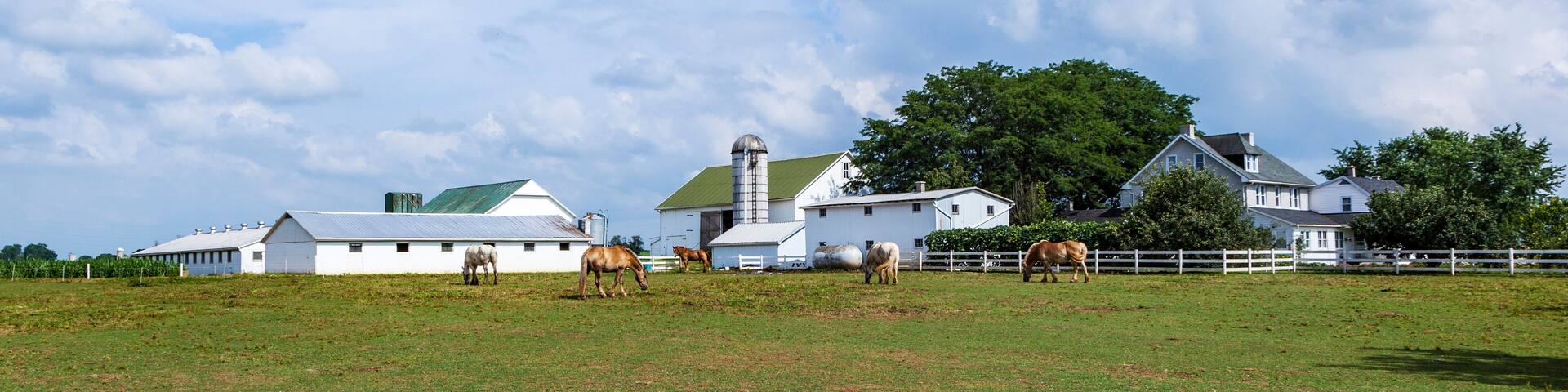 farm house with field and silo