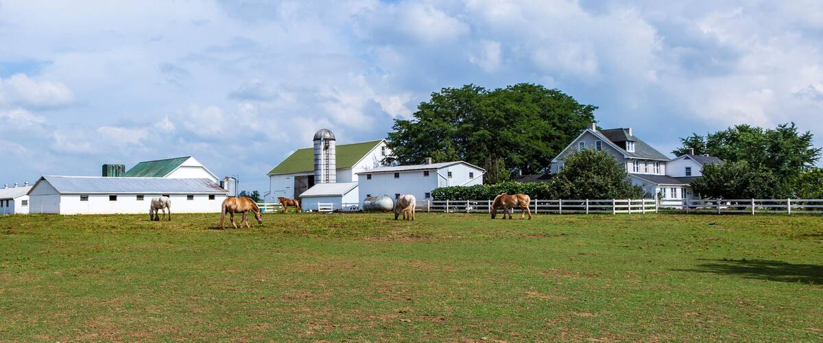 farm house with field and silo
