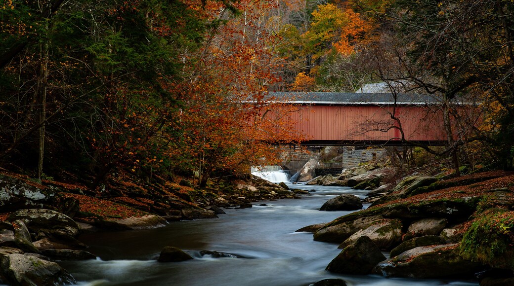 Rustic Red Covered Bridge Over Rushing Stream in Peak Autumn / Fall Season - McConnells Mill State Park - Pennsylvania