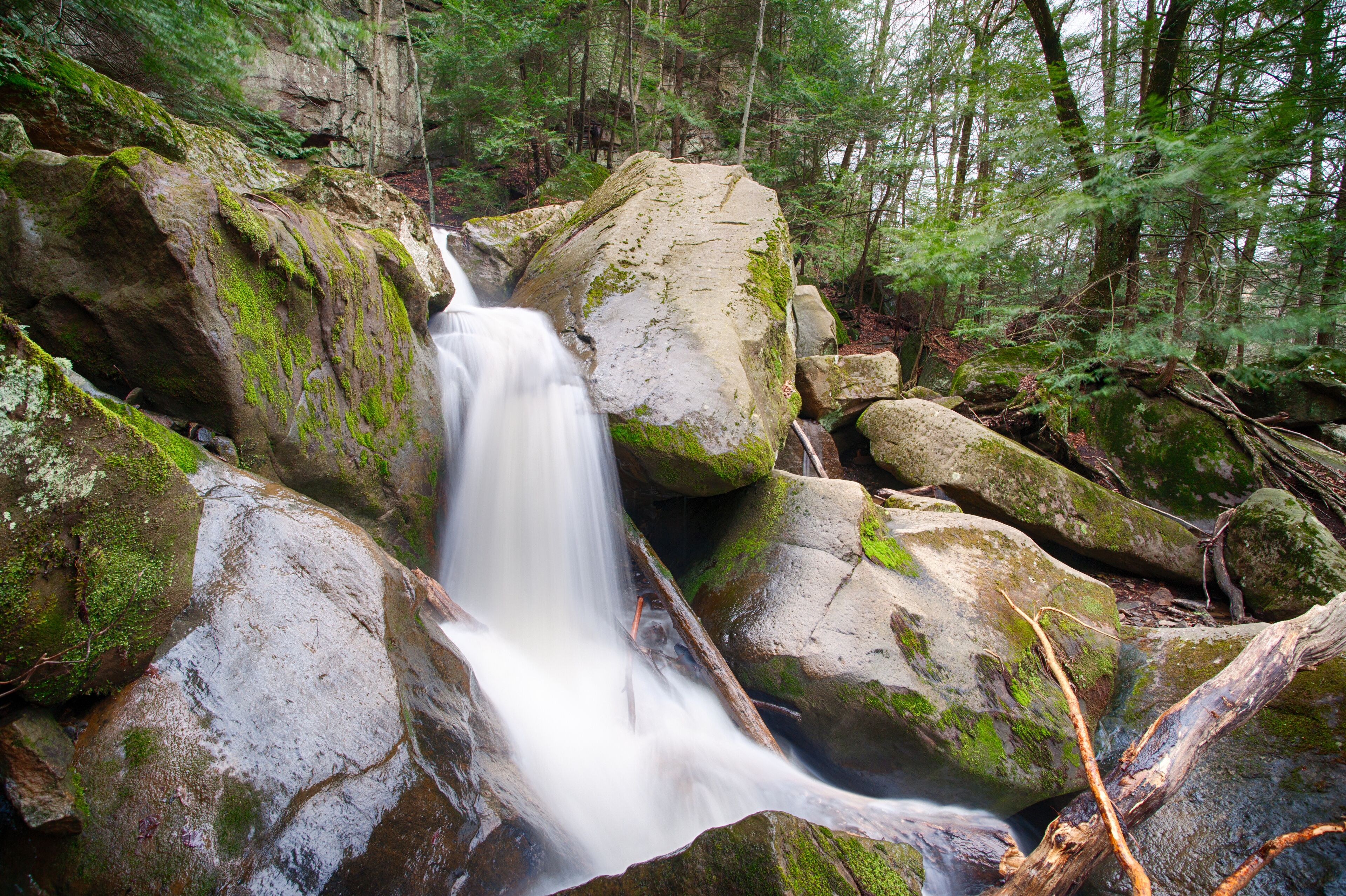 Forest Waterfall