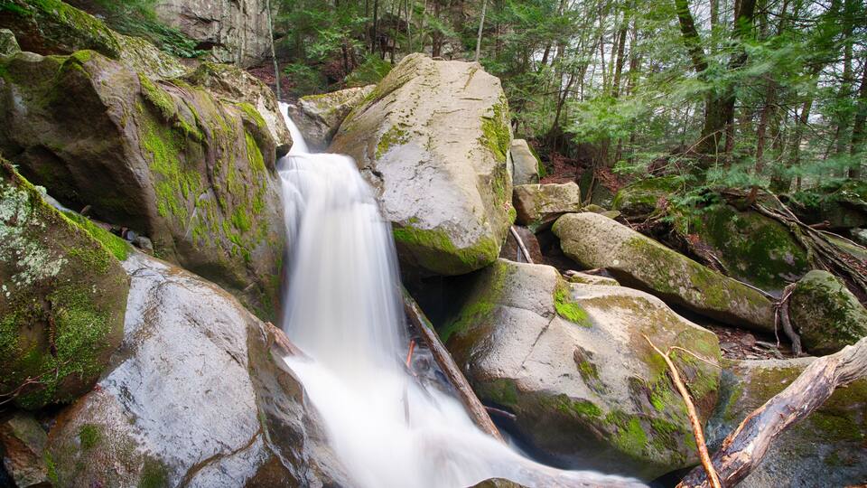A waterfall cascading over moss-covered rocks in a forested area.