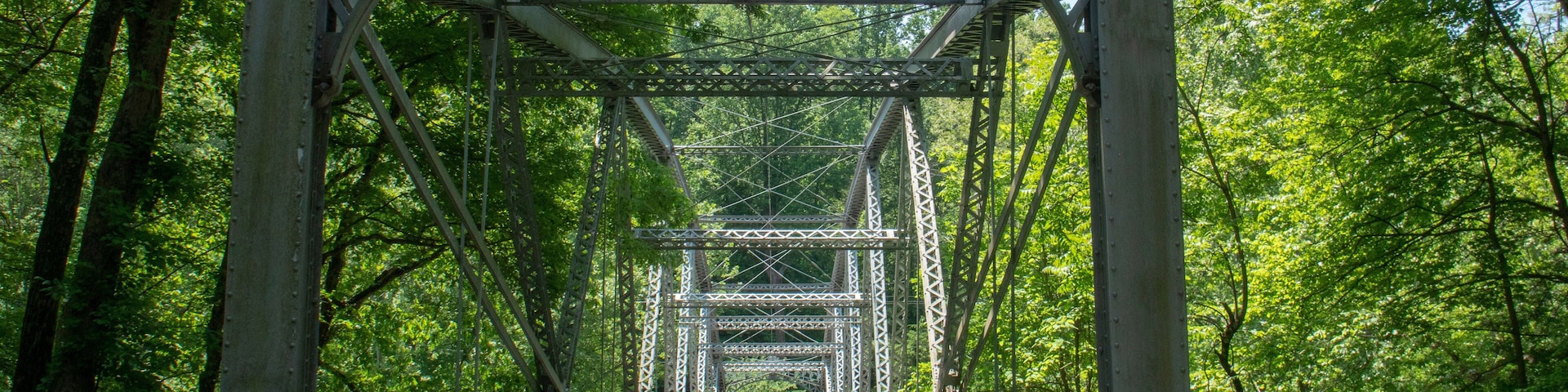 Un puente de madera con barandillas metálicas ornamentales y un arco de piedra, rodeado de frondosos árboles verdes.