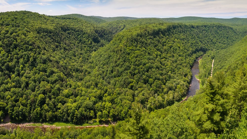 Pine Creek Gorge