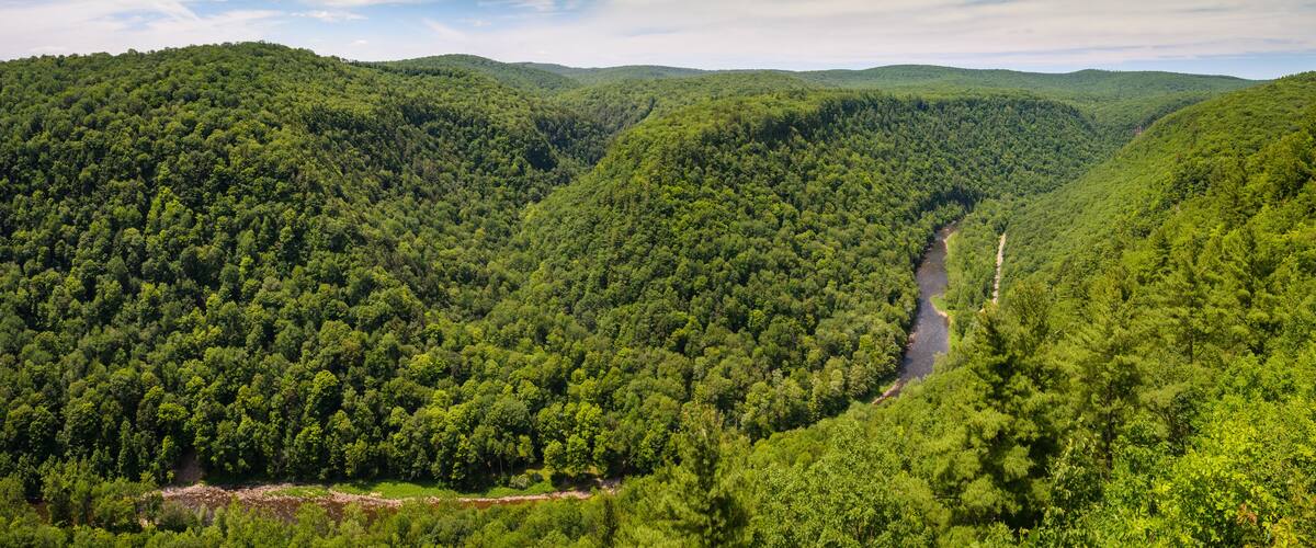 Pine Creek Gorge