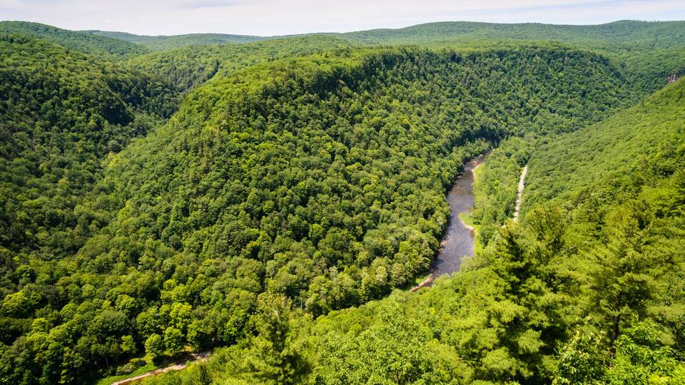 A lush green valley with a winding river and a dirt path.