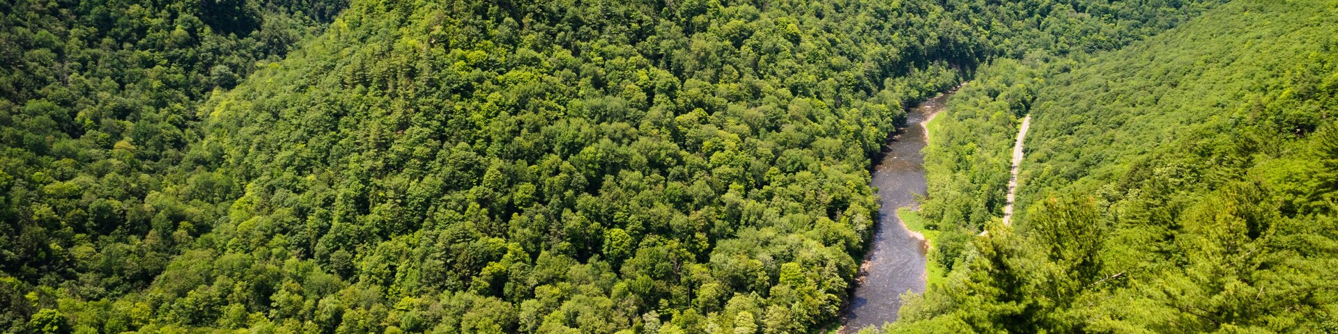 Un valle verde y exuberante con un río sinuoso y un sendero de tierra.