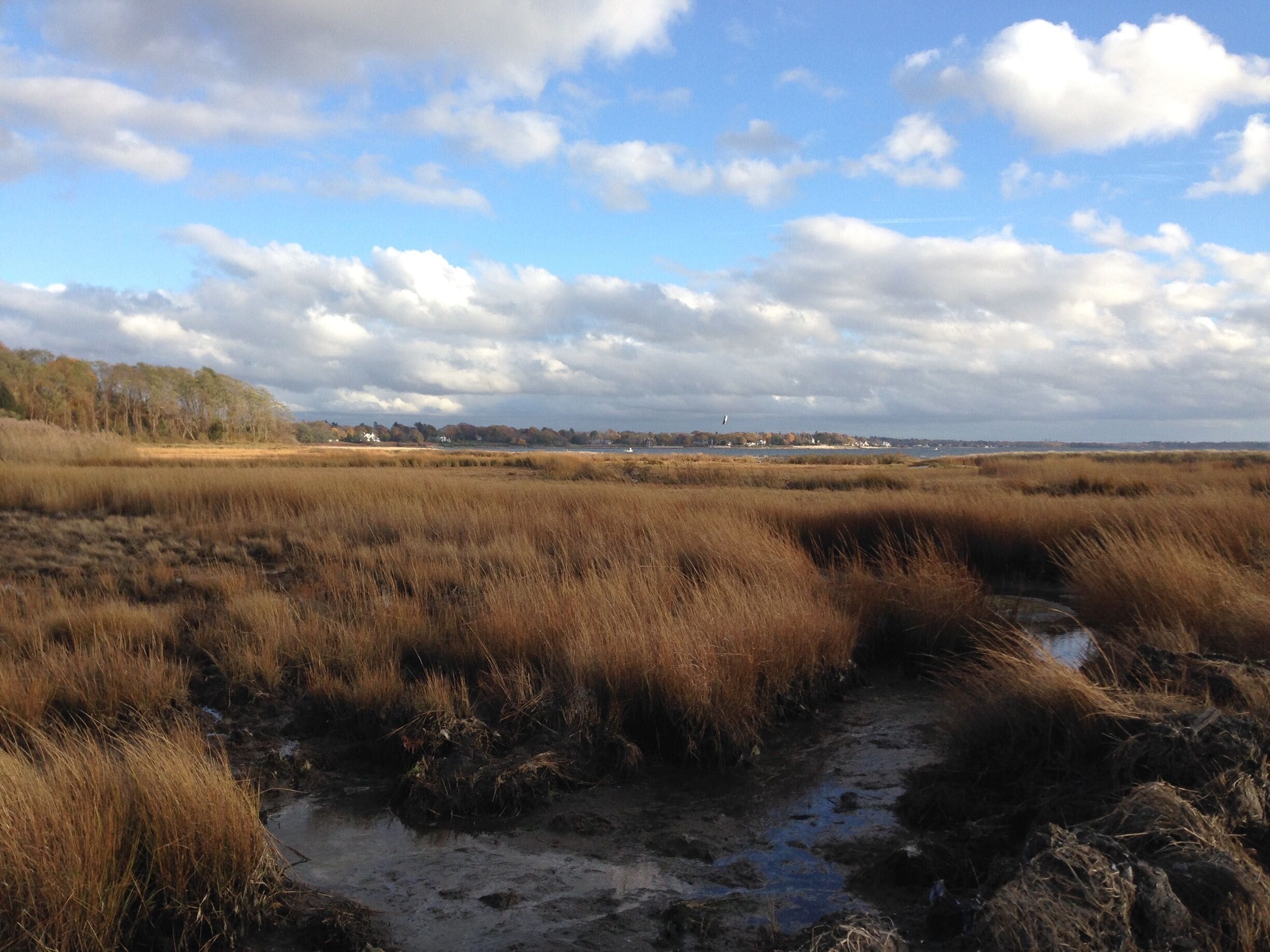 day trip to Providence