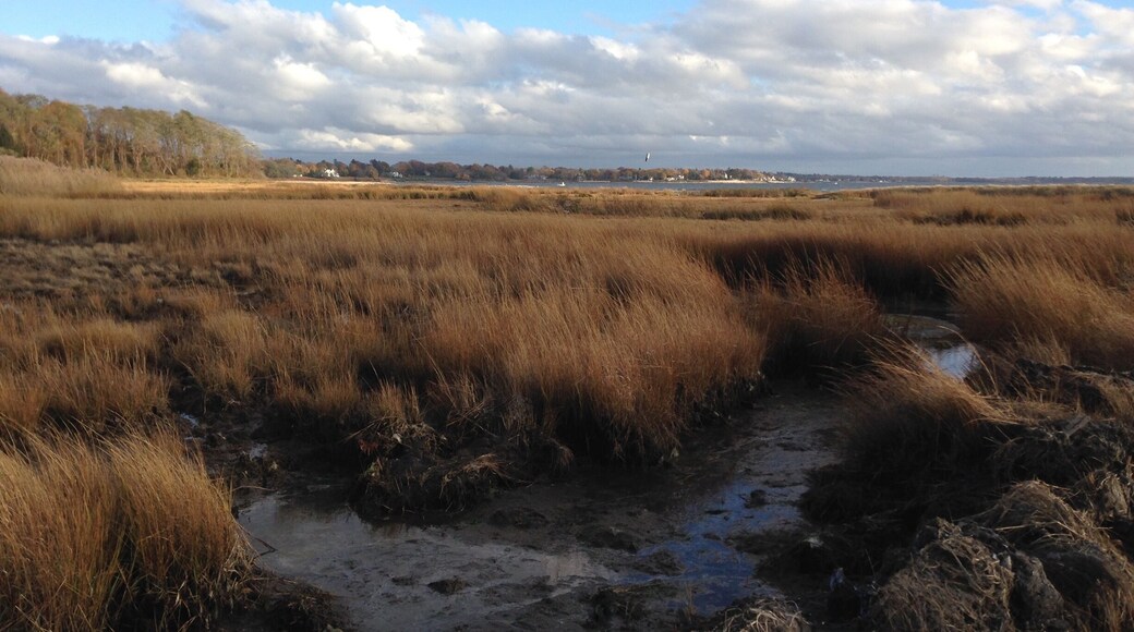 day trip to Providence