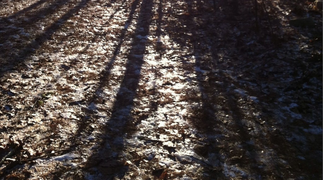 Was runnin outta daylight. Wasn't ready for a cold night in the woods. But i had to stop.