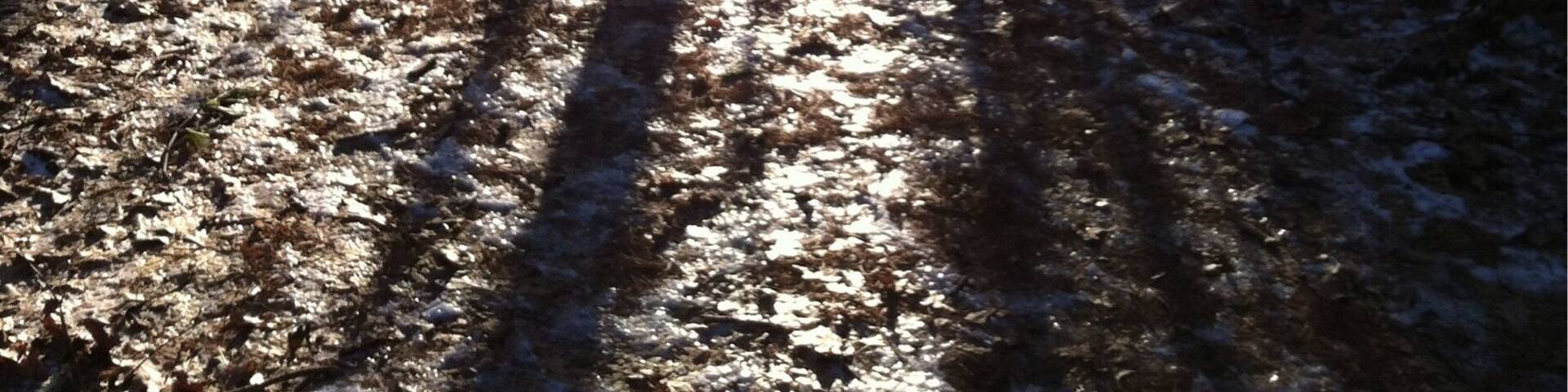 Was runnin outta daylight. Wasn't ready for a cold night in the woods. But i had to stop.