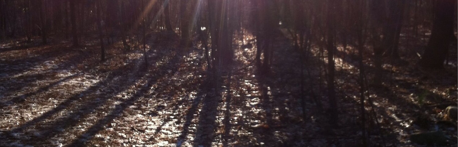 Was runnin outta daylight. Wasn't ready for a cold night in the woods. But i had to stop.