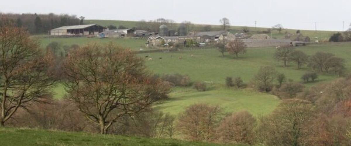 A rural landscape with rolling hills, scattered trees, and farm buildings.