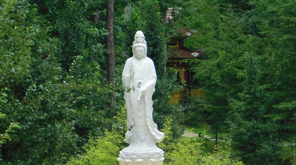 Vien Quang Buddhist Monastery of Clover, SC was founded in July of 2012.