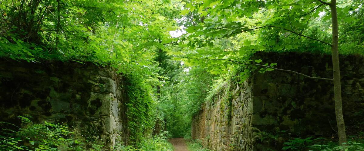 The Landsford Canal, technically a navigation channel parallel to the line of a watercourse, opened in 1823 with the purpose of bypassing rapids along the Catawba River in order to allow efficient freight transport and rapid travel between nearby communities and settlements along the rural frontiers of the era. This was the canal, it's amazing to walk through these wall that once carried boats.