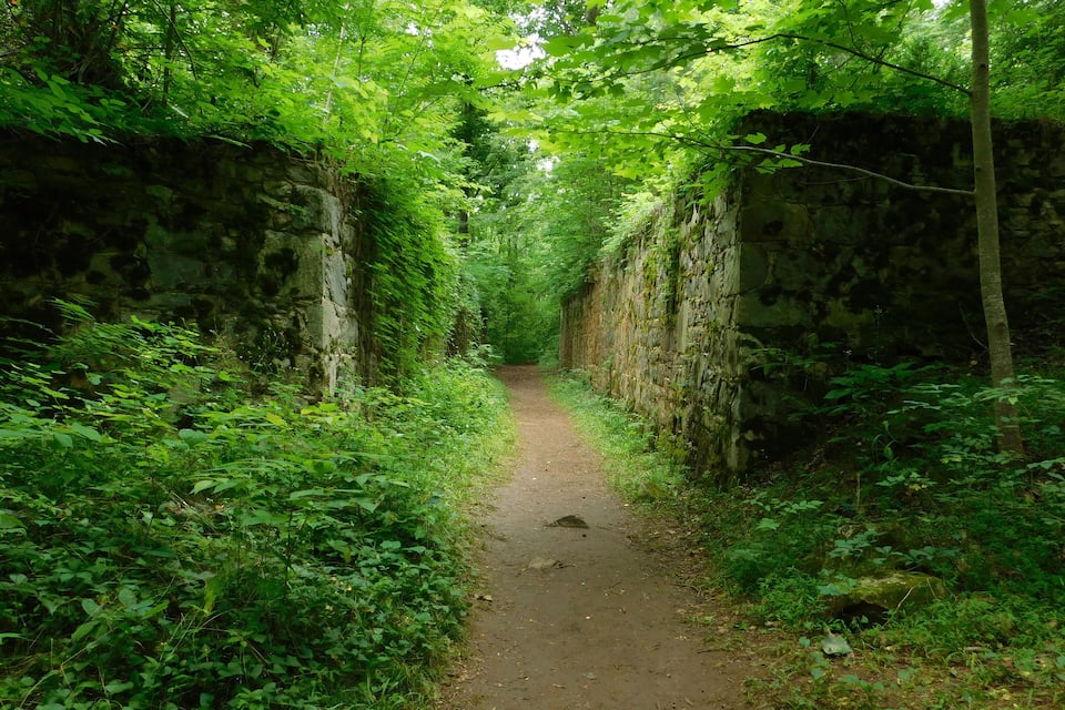 A narrow dirt path flanked by lush green foliage and stone walls.