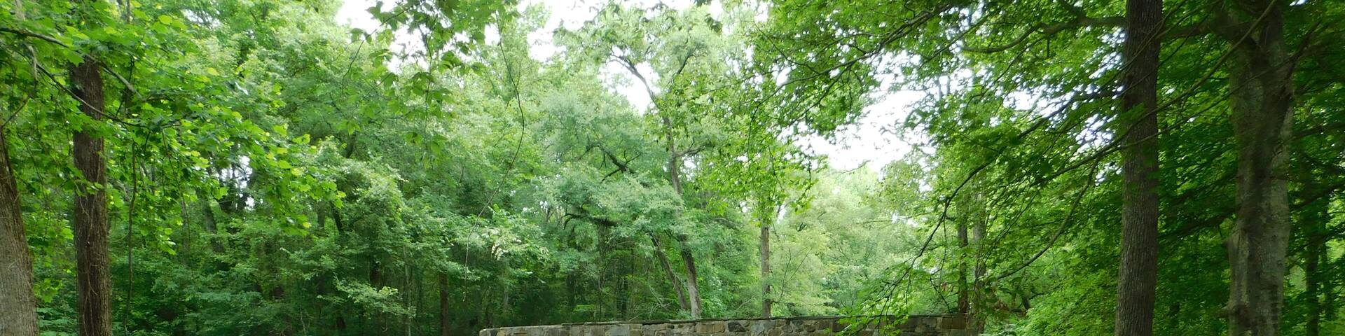 Landsford Canal built to bypass rapids on the Catawba River using slave labor between 1820 and 1825. 445 acres of land.