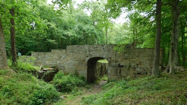 Landsford Canal built to bypass rapids on the Catawba River using slave labor between 1820 and 1825. 445 acres of land.