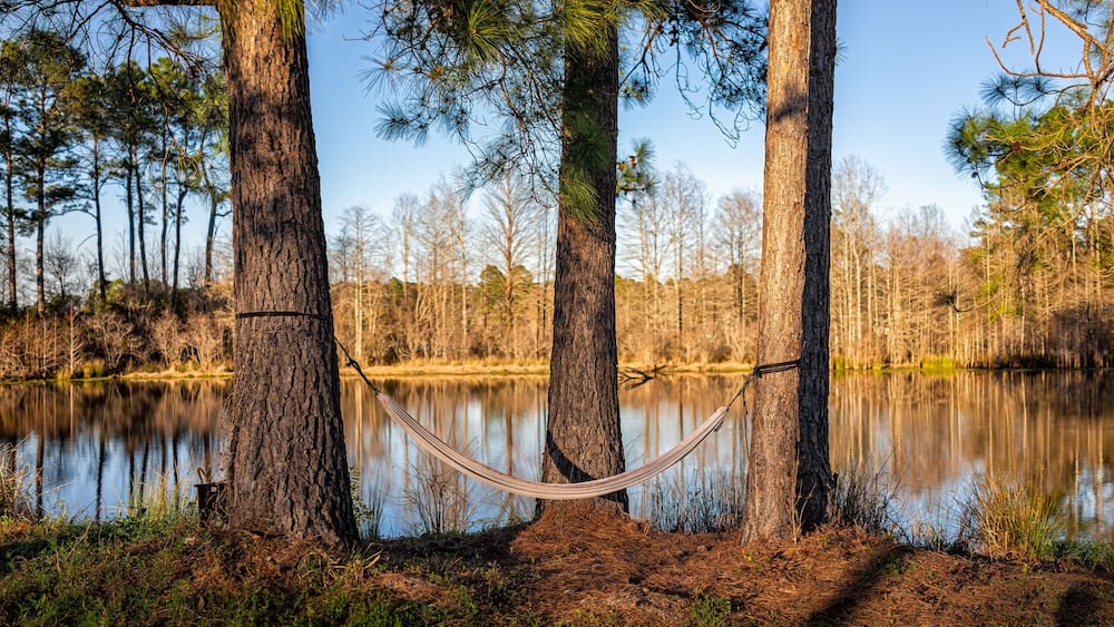 Eutawville, South Carolina sunset near Lake Marion with empty hammock on pine trees overlooking water landscape view at Fountain lake in spring evening with nobody