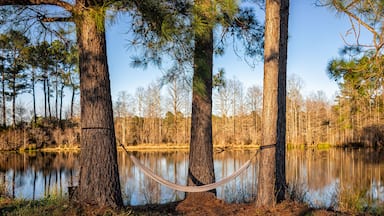 Eutawville, South Carolina sunset near Lake Marion with empty hammock on pine trees overlooking water landscape view at Fountain lake in spring evening with nobody