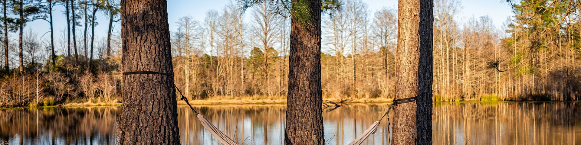 Eutawville, South Carolina sunset near Lake Marion with empty hammock on pine trees overlooking water landscape view at Fountain lake in spring evening with nobody