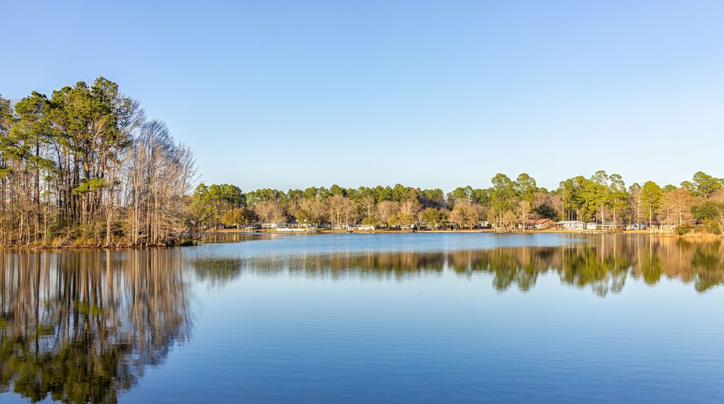 Eutawville, South Carolina sunset near Lake Marion with waterfront houses and docks water landscape view at Fountain lake in spring evening with nobody and pine trees