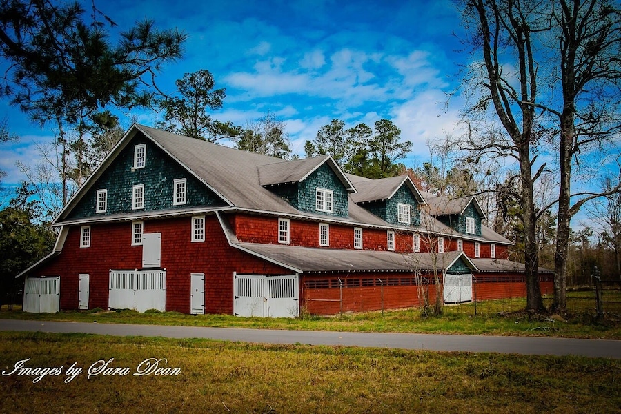 Big Red Barn c. 1928
This huge three-story Dutch Colonial design barn featured an elevator as well as a three-story incline drive up ramp to utilize the third floor. In the 1930's, it housed required farm animals, mainly mules, to pull the heavy farming equipment. The original lightning rod system along the roof ridge is still intact. In 1970, the state highway department moved the location of the U.S. Highway 501 rather than cut 28 feet off the barn.