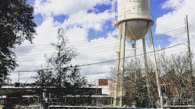 Love the old water towers...
