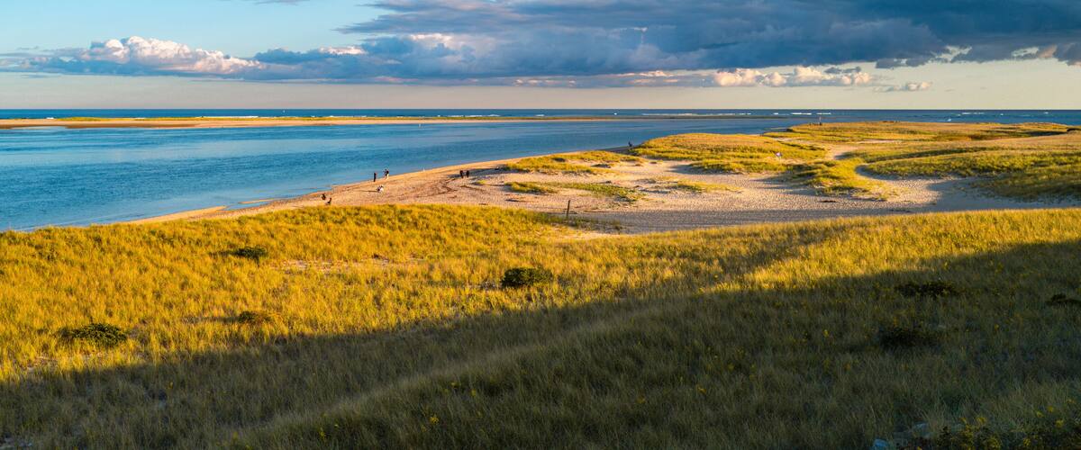 A coastal landscape with grassy dunes, a sandy beach, and a calm sea.