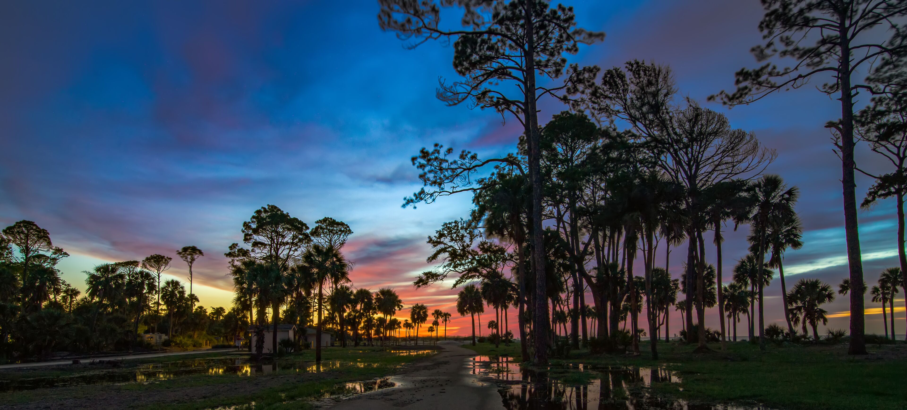 beautiful nature on hunting island south carolina