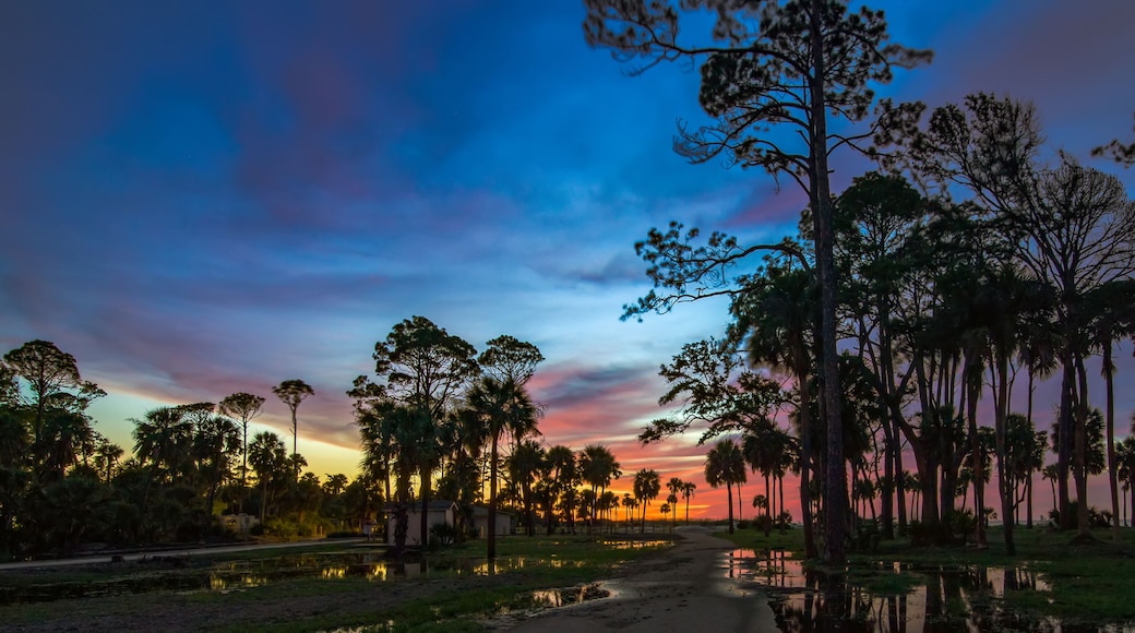 beautiful nature on hunting island south carolina