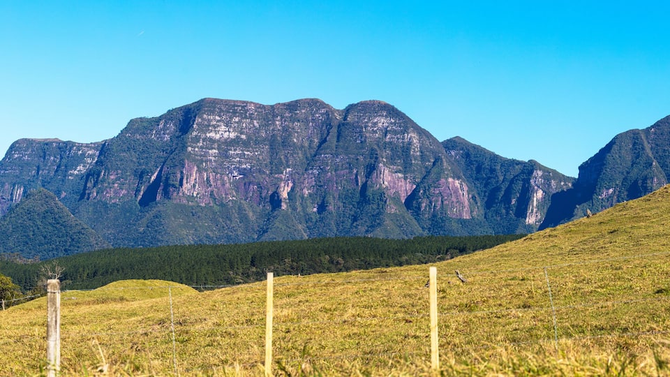 A grassy field with a wooden fence in the foreground and a mountain range in the background.