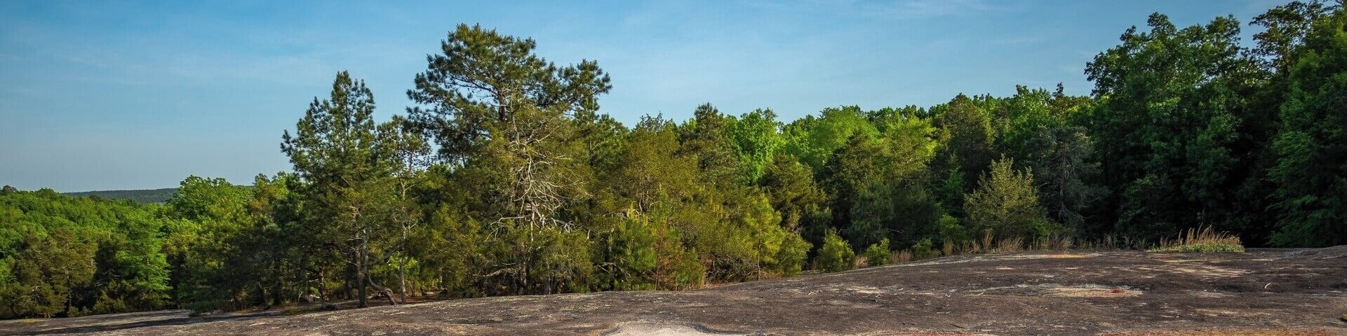 A very cool place in South Carolina that has a lot of unique plants. It also has a large beaver pond that is just bursting with wildlife. For a video guide of this area, please visit: https://www.hdcarolina.com/episode/forty-acre-rock