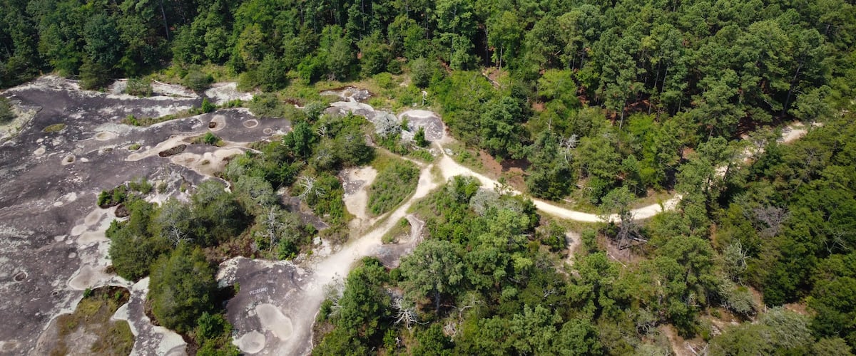 A dense forest with a winding dirt path and rocky outcrops.