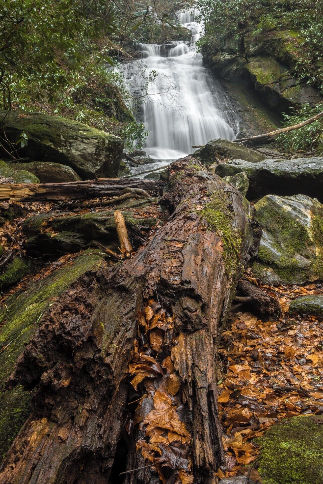 This is an epic spot in the forest that is indescribably beautiful.  The hike in also passes by the Chattooga River at a very beautiful spot.  All in all, the 5 mile round trip hike required to view Opossum Creek Falls is well worth it and highly recommended.  For a video guide of the hike to this waterfall (along with some good video of the falls), please visit:  https://www.hdcarolina.com/episode/opossum-creek-falls
