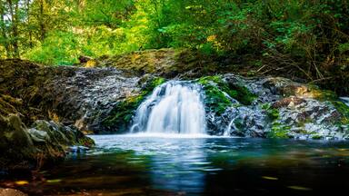 Small brook waterfalls in the Silver Falls State Park near Salem, Marion County, Oregon. Long exposure photography.