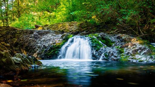 Small brook waterfalls in the Silver Falls State Park near Salem, Marion County, Oregon. Long exposure photography.