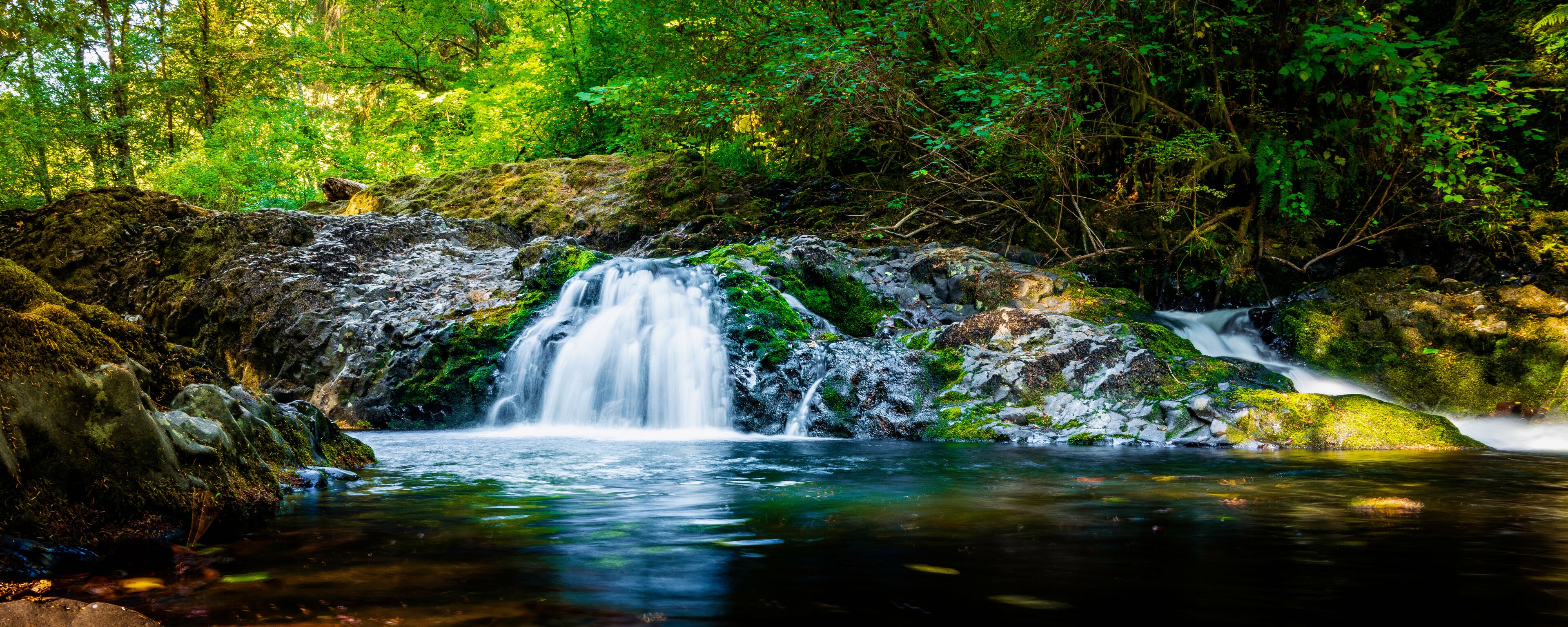 A waterfall in a forested area with moss-covered rocks and dense green foliage.